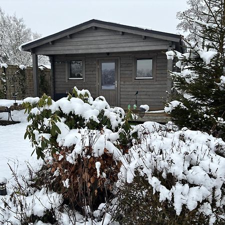 Chalet In Het Groen Met Airco Drachtstercompagnie 외부 사진